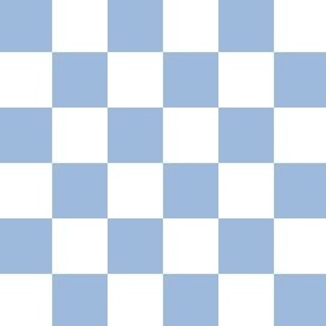 1” Classic Checkers, Sky Blue and White