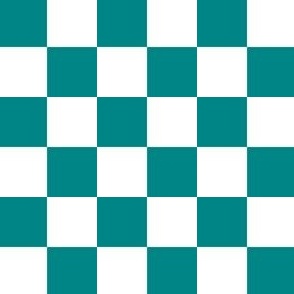 1” Classic Checkers, Turquoise and White