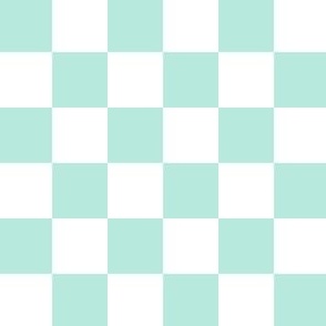 1” Classic Checkers, Mint  and White