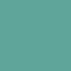Aqua Rapids Turquoise Solid Fabric - #5fa69a