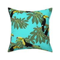 Keel Billed Toucans in Costa Rican Jungle on Turquoise  - Large