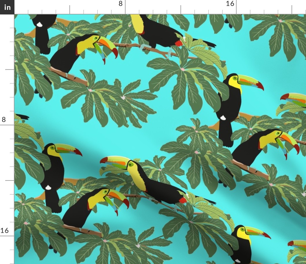 Keel Billed Toucans in Costa Rican Jungle on Turquoise  - Large