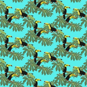 Keel Billed Toucans in Costa Rican Jungle on Turquoise  - Small