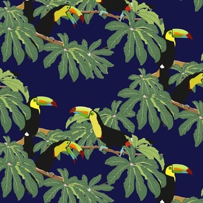 Keel Billed Toucans in Costa Rican Jungle on Navy  - Large