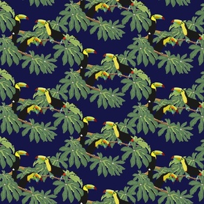 Keel Billed Toucans in Costa Rican Jungle on Navy  - Small