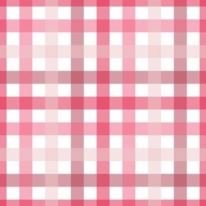 Pretty Pink Plaid