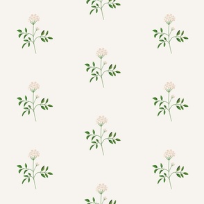 Simple Elderflowers Beige