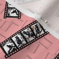 Black Watercolor Cats on a Film Tape Pattern | Cat Art | Watercolor Art | Pale Pink Background