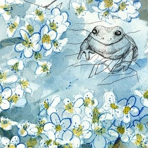 tree blossom frogs
