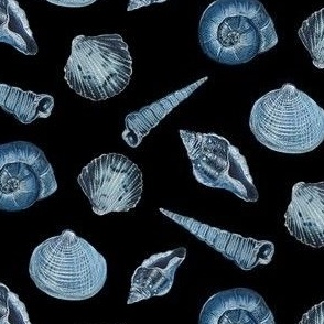 Indigo Seashells // Black