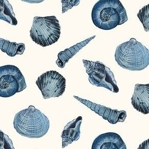 Indigo Seashells // White