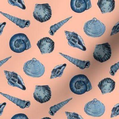 Indigo Seashells Peachy