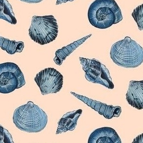 Indigo Seashells // Peachy Tan Neutral 