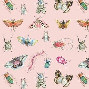 Beautiful Bugs Pink