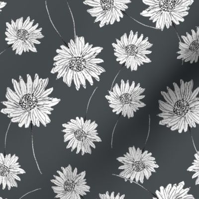 watercolor floral monochrome daisy Design #096