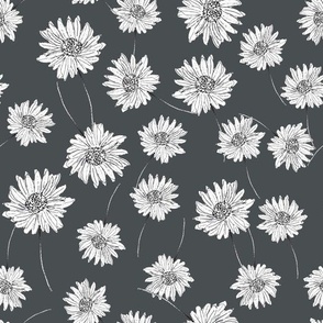 watercolor floral monochrome daisy Design #096