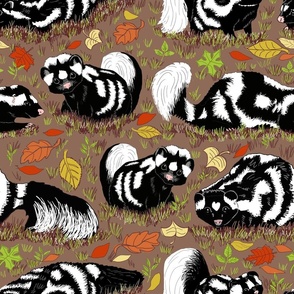 Eastern Spotted Skunk 18x18 autumn