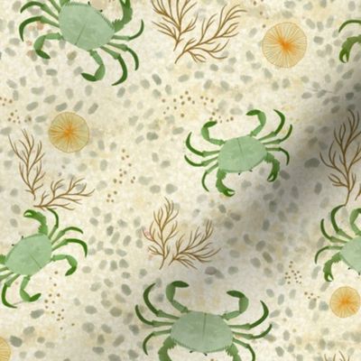 Sand crabs - green (medium)