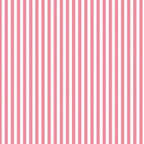 Tiny White and Pink Stripes