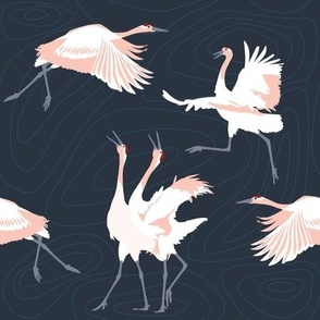 Japanese Cranes Flying, dancing and singing in dark blue