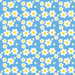 Sweetie Pie Daisy - Blue