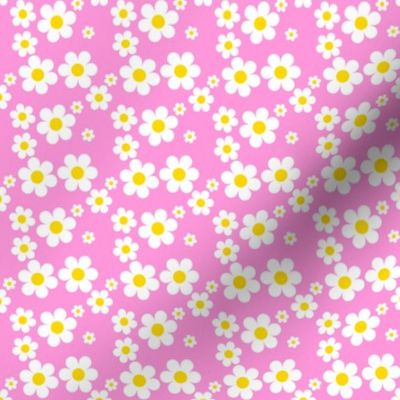 Sweetie Pie Daisy - Pink