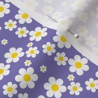 Sweetie Pie Daisy - Purple