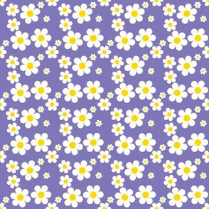 Sweetie Pie Daisy - Purple