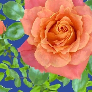 Big Pig Orange and Royal Blue colour way from the A Rose called Miss Piggy Collection