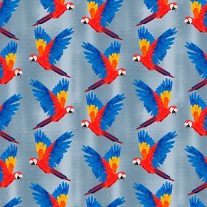 Macaws Flying with Blue Background