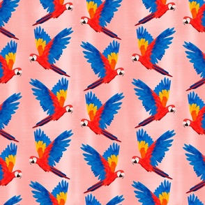 Macaws Flying with Pink Background