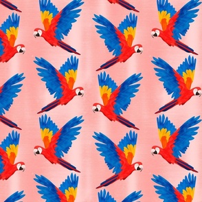 Macaws Flying with Pink Background