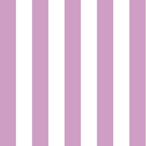 2" stripes/purple and pure white