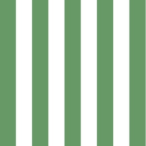 2" stripes/green and pure white