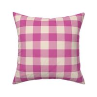 Small Raspberry Pink Gingham Summer Vibe 