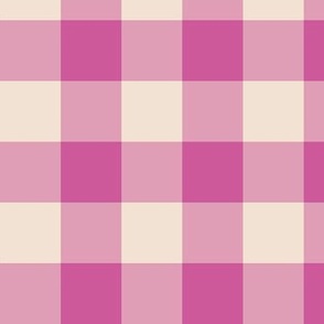 Small Raspberry Pink Gingham Summer Vibe 