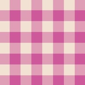 Mini Raspberry Pink Gingham Summer Vibe 