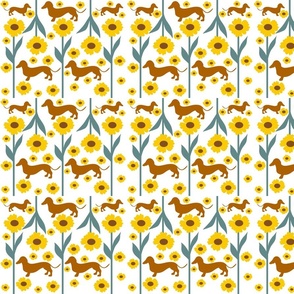 Dachshund  Sunflower Floral, Cute Summer Dog Pattern