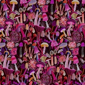 Never Stop Growing_ medium mushrooms dark pink