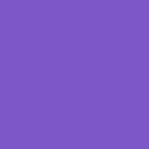 Solid Purple - Halloween Coordinate