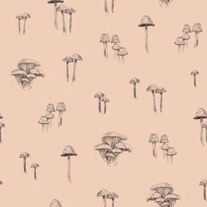 Large Scale Hand Drawn Pencil Mushrooms Spaced Out on Peach Puree