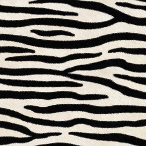 Soft Fuzzy Zebra