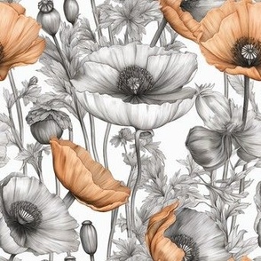 Poppies in Contrast: Charcoal and Copper