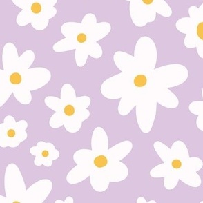 Spring floral daisy, white, yellow on purple 