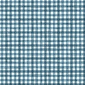 January Moods_Gingham_Blue