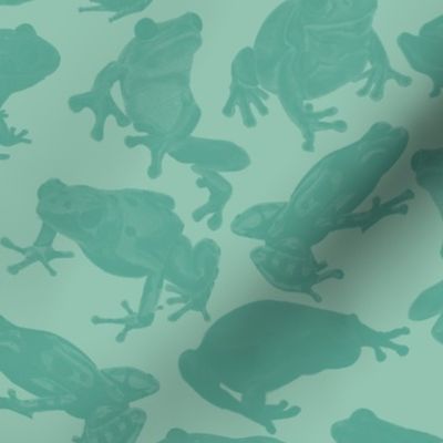 Two Toned Light Teal Frog 