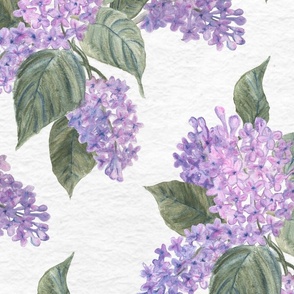 LARGE lilac hand painted watercolor