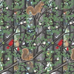 forest with birds and squirrels 12 inch version