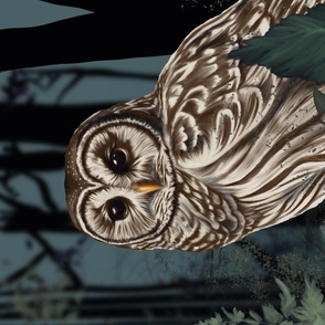 Barred Owl and Forest Moon wall hanging