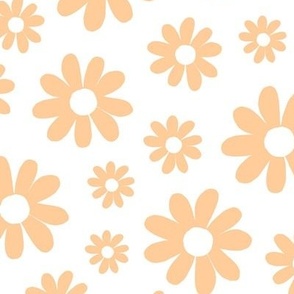 ( large ) daisy, florals, daisies, yellow flowers 